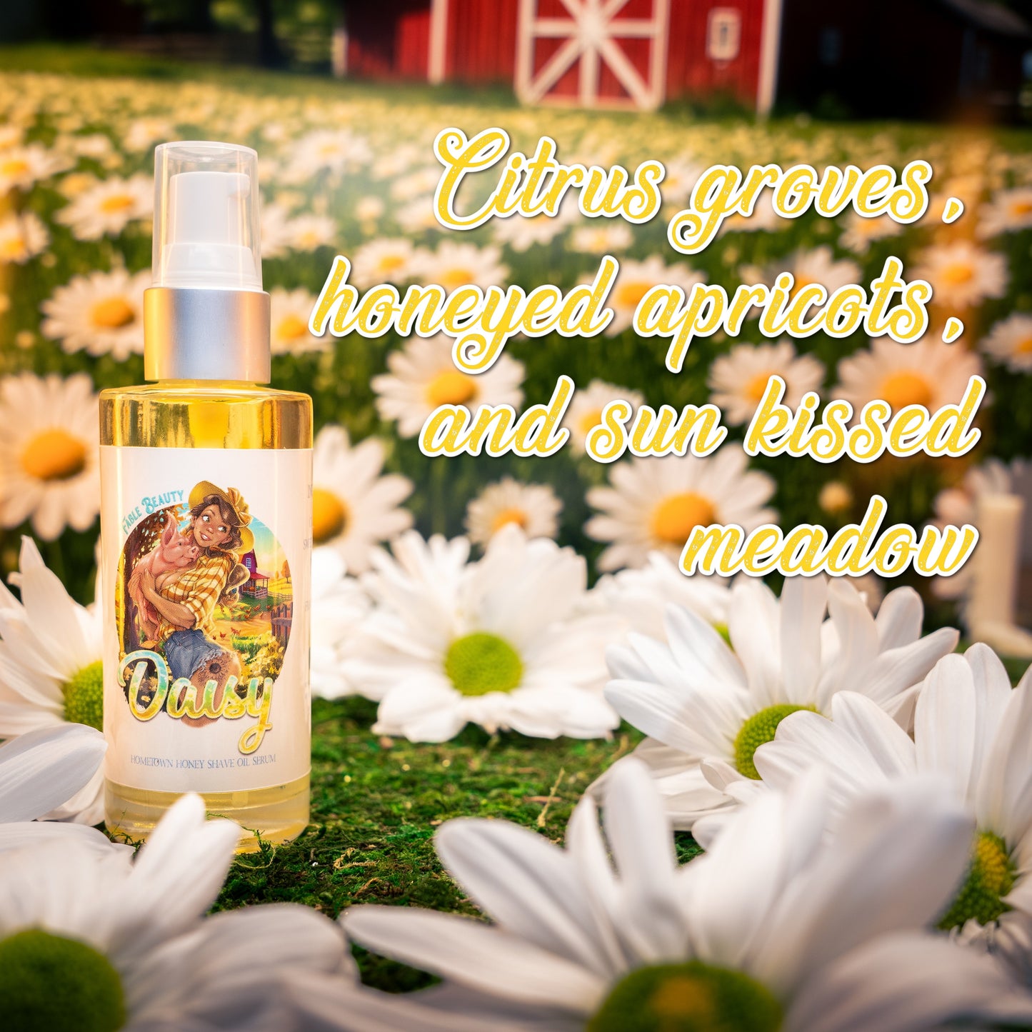 Daisy - Razor and Radiance Duo