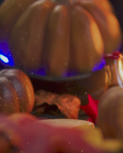 Punkin - Magical Sugar Scrub
