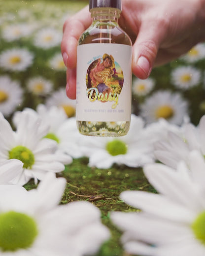 Daisy - Hair Oil Elixir