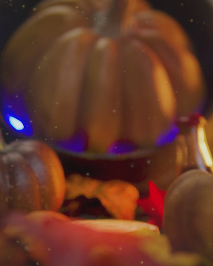 Punkin - Shave Oil Serum