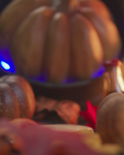 Punkin - Natural Deodorant